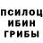 Псилоцибиновые грибы мицелий Lance Caldwell