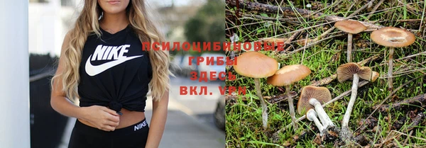 соль курить ск Коряжма