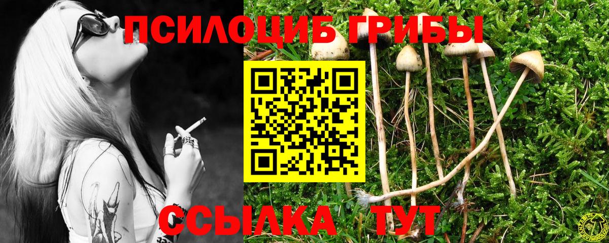 купить наркотик  Батайск  Псилоцибиновые грибы GOLDEN TEACHER  Псилоцибиновые грибы MAGIC MUSHROOMS 